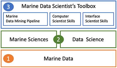Perspectives on Marine Data Science as a Blueprint for Emerging Data Science Disciplines